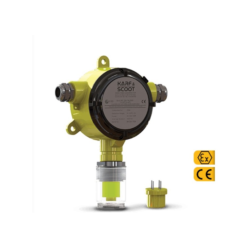 Fixed type exproof Hydrogen (H2) dedektor
